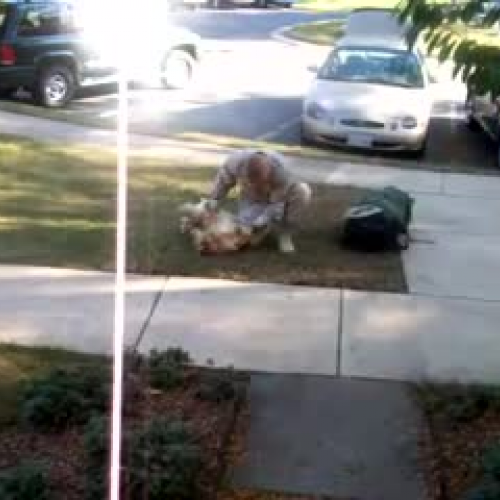 Dog greets soldier; Argus and Odysseus