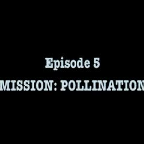 The Bug Chicks 5: Mission Pollination