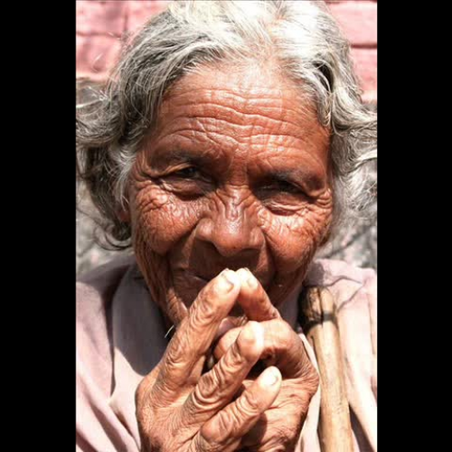 Nectar in a Sieve Project