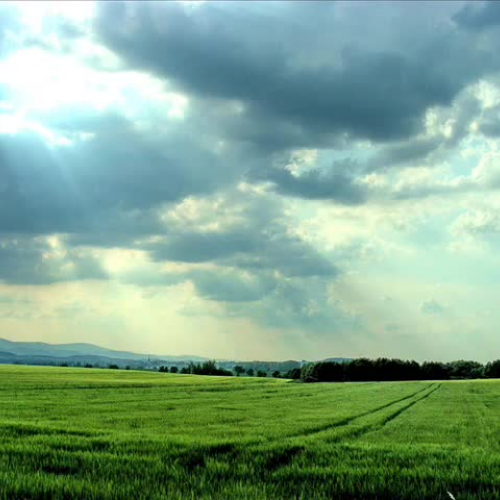 Greenfields - Brothers Four