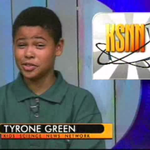 EDIT 202 Sample Video