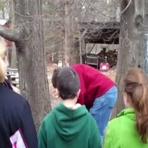 Maple Sugar Lesson
