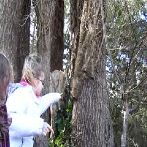 Adv 8 -Dragon Riders