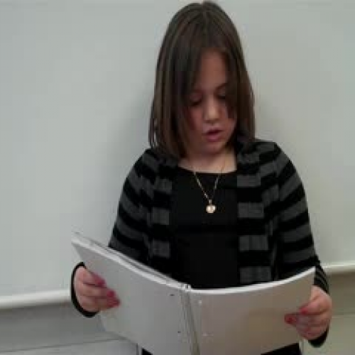 Opinion Presentation