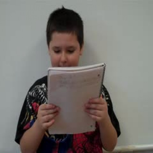 Opinion Presentation