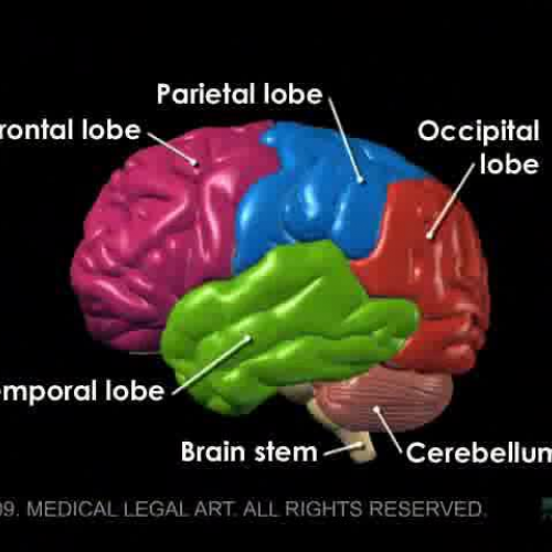 EDIT 202 Sample Video
