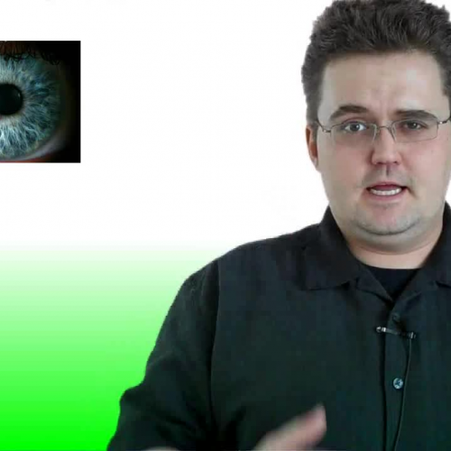 Physics - Basic Displacement vs Distance