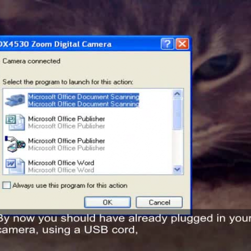 Downloading Photos, XP
