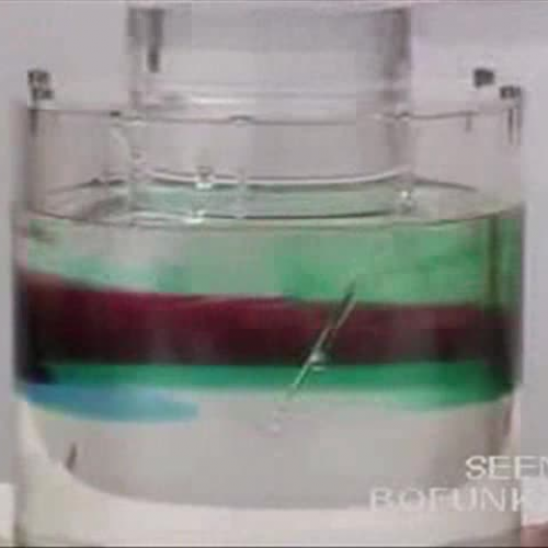 EDIT 202 sample Video