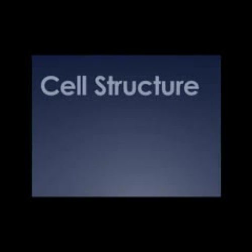 Cell Structure