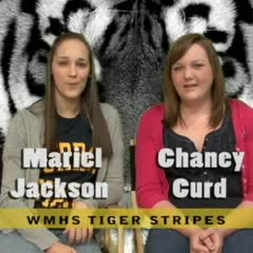 2011 Polar Plunge Spotlight Video - Tiger Str