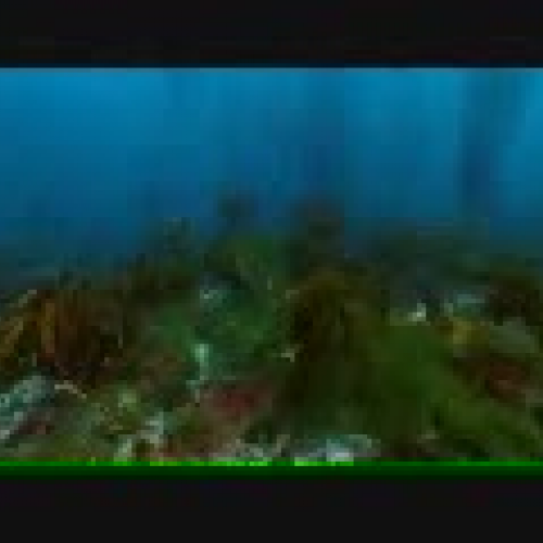 EDIT 202 SampleVideo