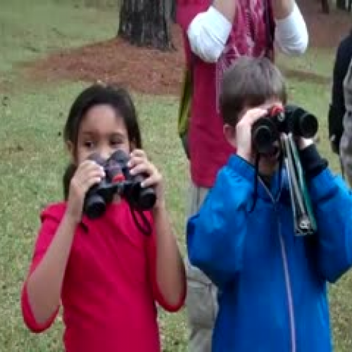 Rock Eagle March 2011