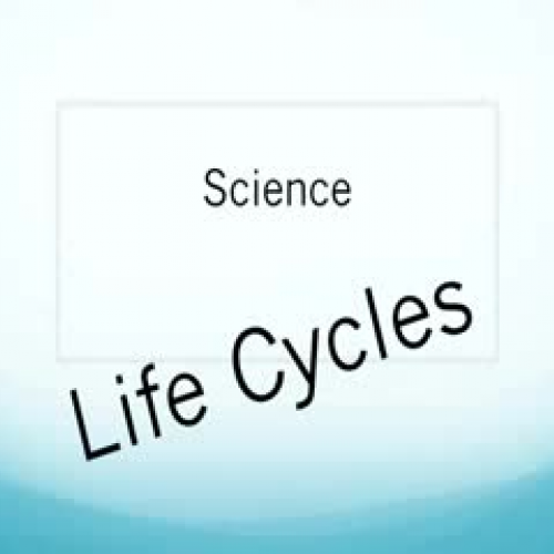 Life Cycles Vodcast-1