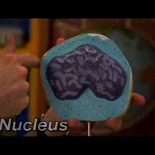 Edit 202 Sample video