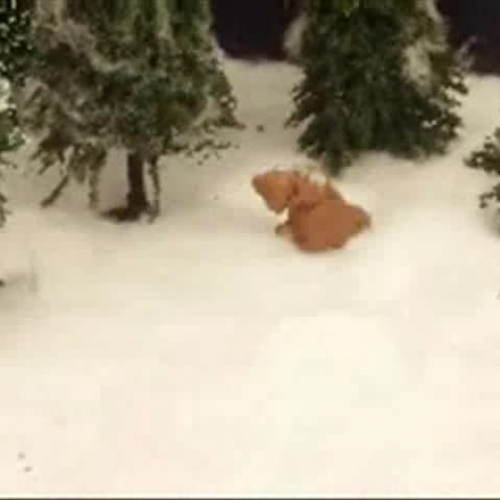 The Squirrel's Quarrel