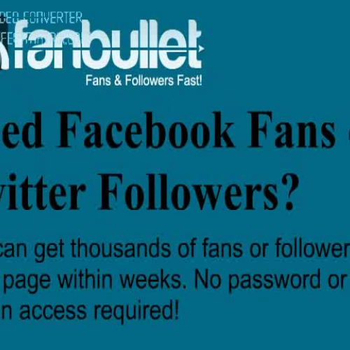 Buy facebook fans to maximize your profit