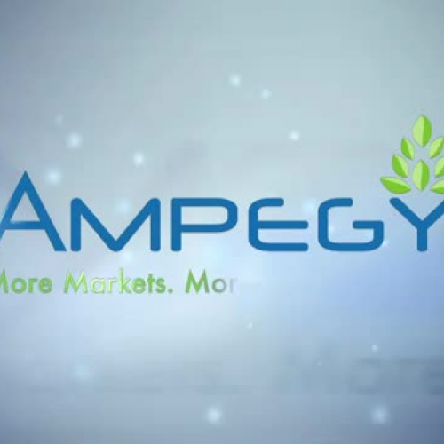 Ampegy MLM Opportunities