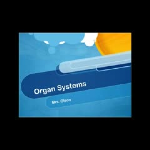 Organ Systems Review