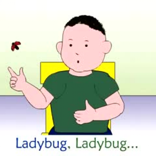 Ladybug Song