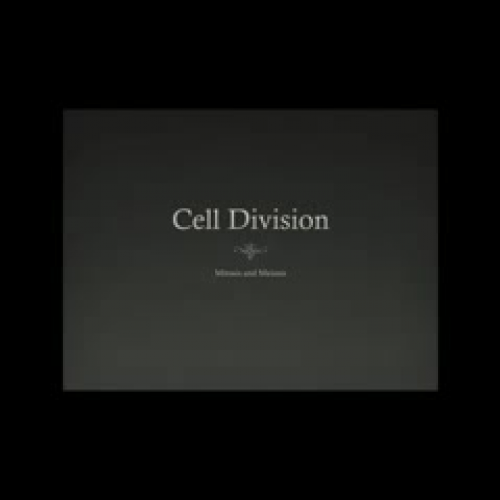 Cell Division Review