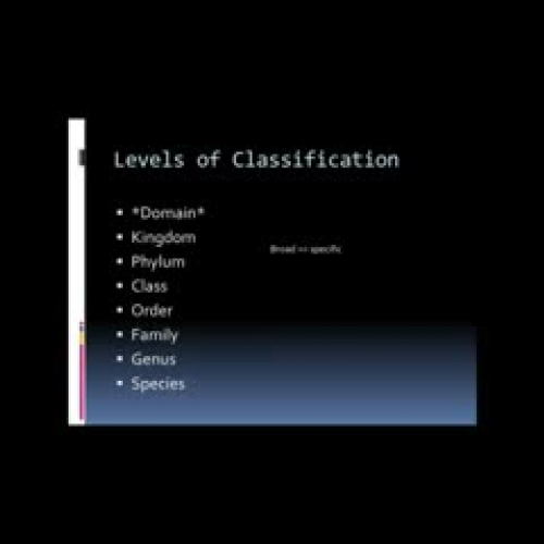 Classification 9