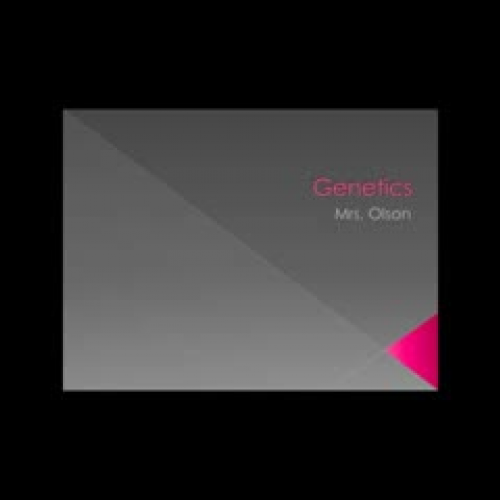 Genetics Review 1