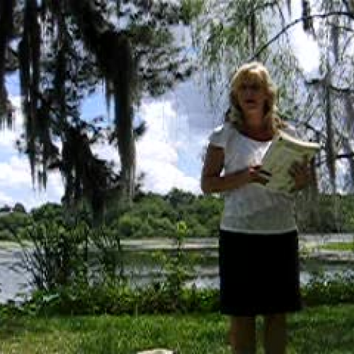 Ecosystem Field Study