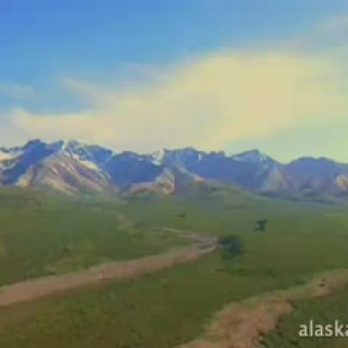 Activities Introduction