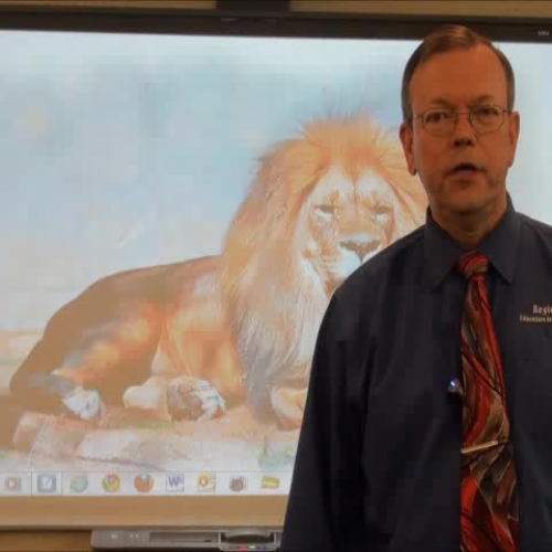 SMART Board SB800 DViT Calibration