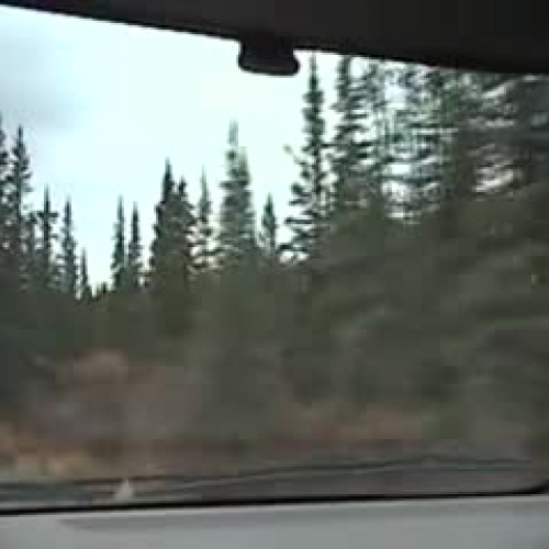 Denali National Park