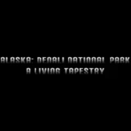 Denali National Park