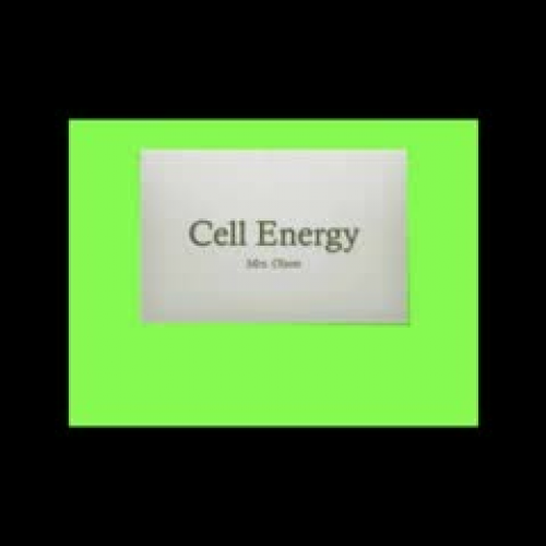 Cell Energy Review