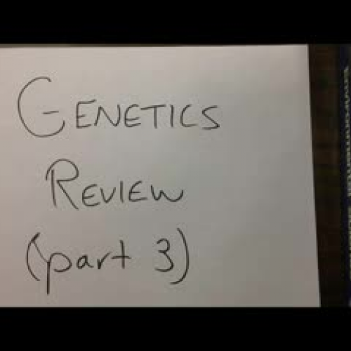 Genetics Review Part 3