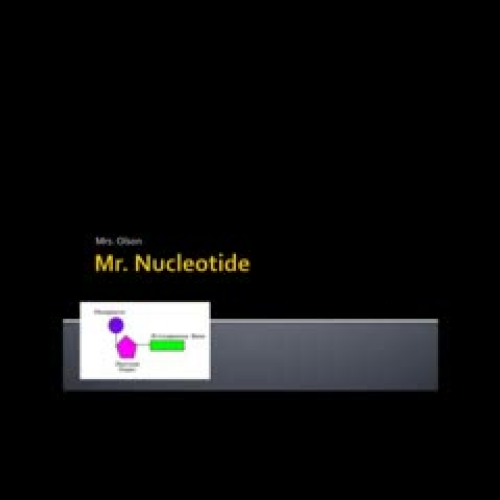 Mr. Nucleotide