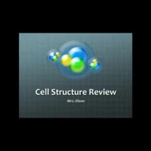 Cell Test Review 7th