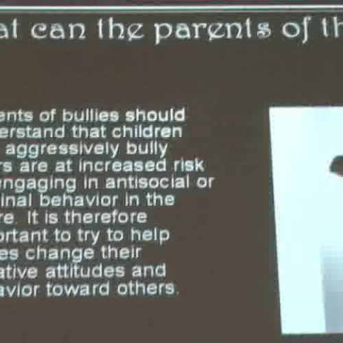 Part 4 Bullying- What Can Parents of the Bull