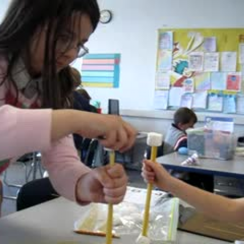 Stable Structures (1)