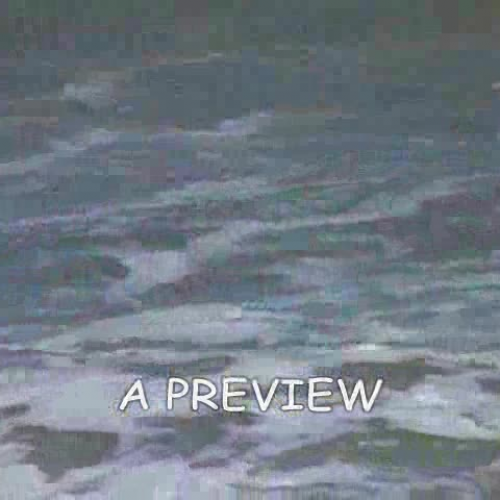 Earthshine Nature's Wild Adventures with Stev