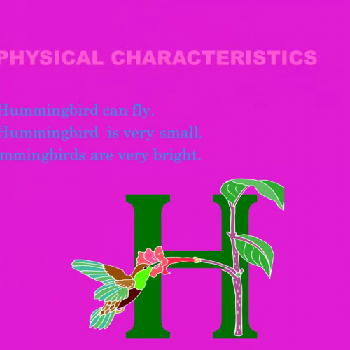 Hummingbirds