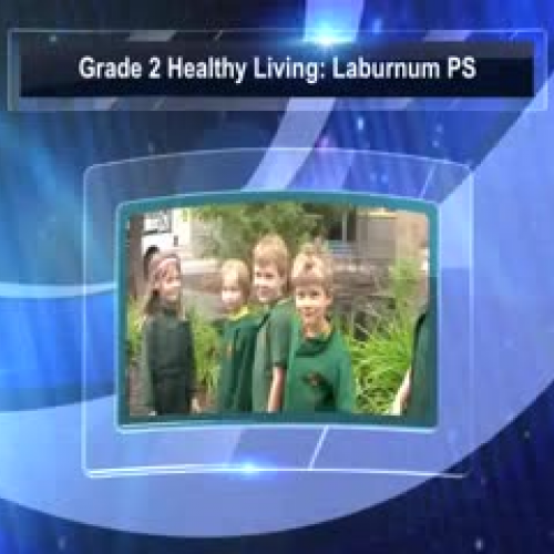 Grade 2 Healthy Living