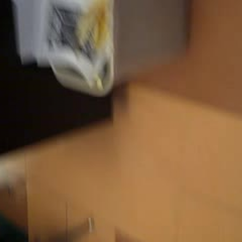 Teaching ELL's in AP US History