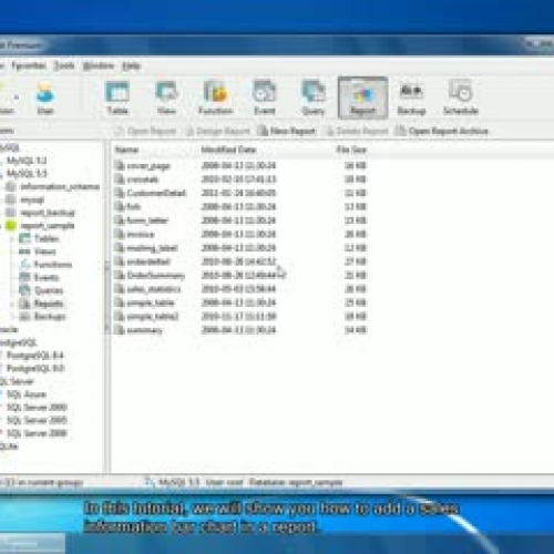 How to create a chart in the report? (Windows