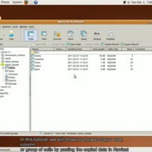 How to copy and paste data in Navicat databas
