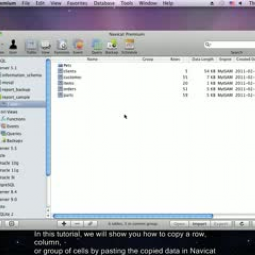 How to copy and paste data in Navicat databas