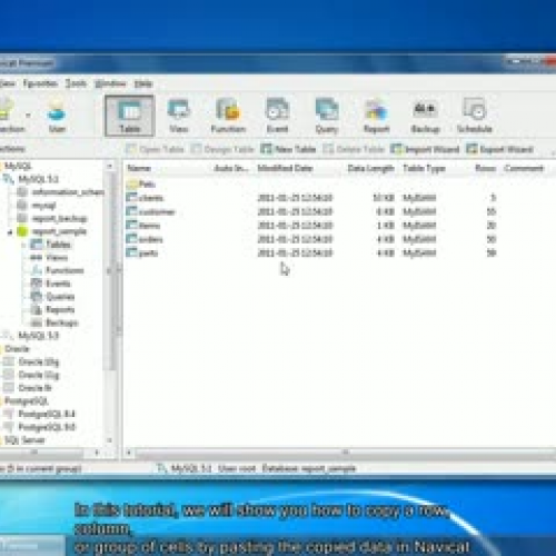 How to copy and paste data in Navicat databas