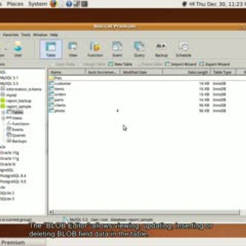 How to import or export binary data to or fro