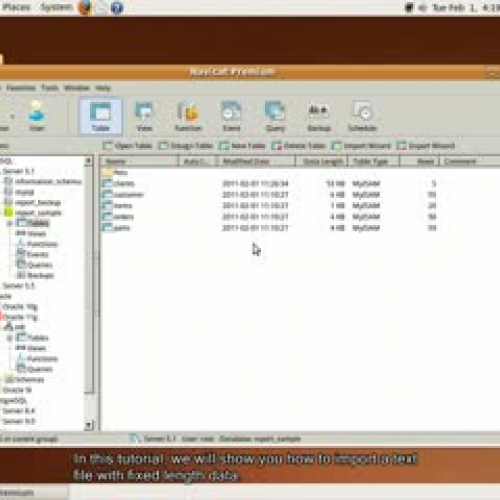 How to import text file with fixed length dat