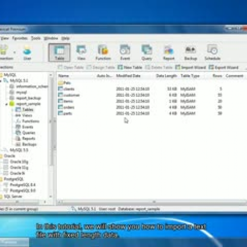 How to import text file with fixed length dat
