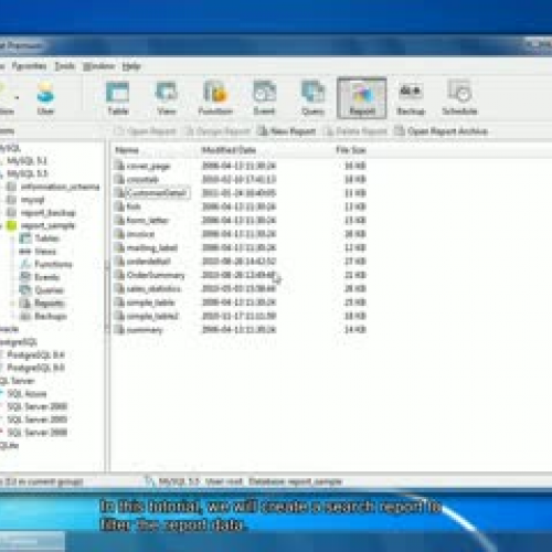 How to filter or search data in the report? (